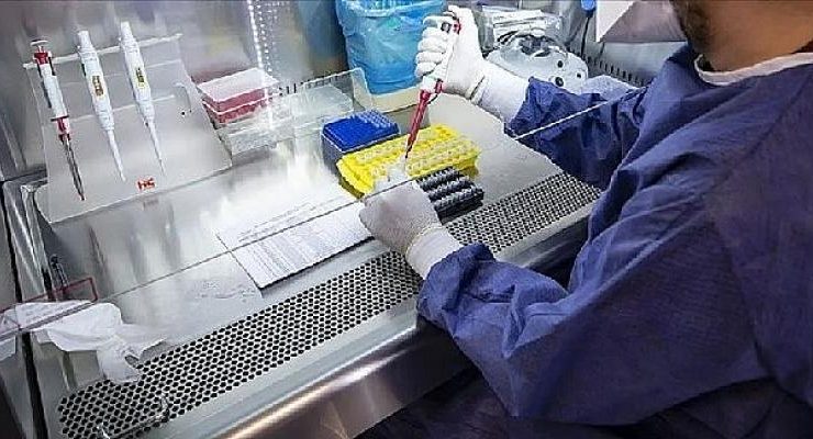 Türk bilim insanları, grip ve COVID-19’u aynı örnekten saptayan Hibrit PCR Tanı Kiti geliştirdi