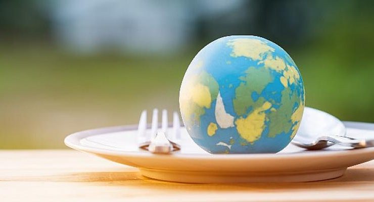 Dünyada üretilen gıdanın üçte biri israf ediliyor