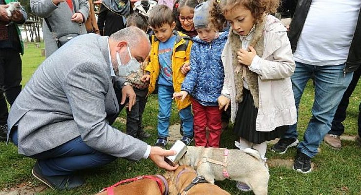 Canik’te çocuklar sokak hayvanları için ‘Çevre Dostu’ kulübeler hazırlıyor