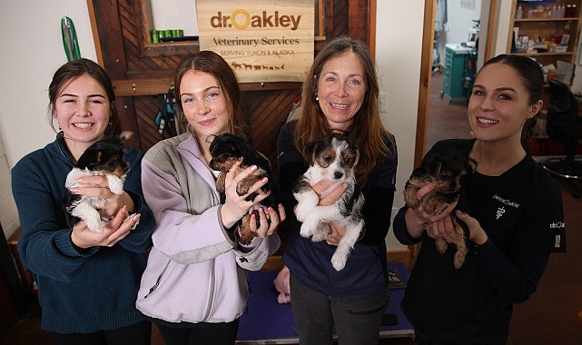 &apos;Yukon Veterineri: Kadınların Öyküleri Özel' 8 Mayıs Çarşamba Günü 20.00'de National Geographic WILD Ekranlarında!