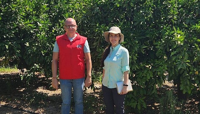 Ege Yaş Meyve Sebze İhracatçıları Birliği'nden çifte rekolte